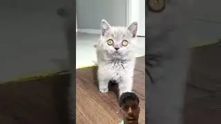 this is same 😂🤣 