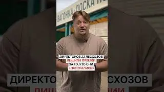 Сразу 22 директоров чуть не уволили за то, что они «поигрались»