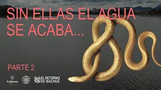 El SECRETO mejor guardado de Bogotá: Las Madres del Agua