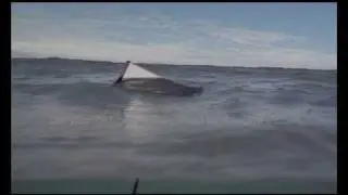 RETHINK THE SHARK - Toaster