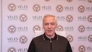 VELES Community   Новости от 03 03 2019 г