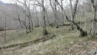 Поиск в интересной балке. Без серебра не ушли!