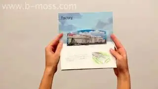 Identity Direct Mailer with Pop-Up and Slider Effects