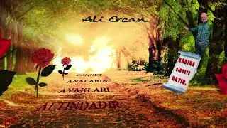 ALİ ERCAN - KADINA ŞİDDETE HAYIR