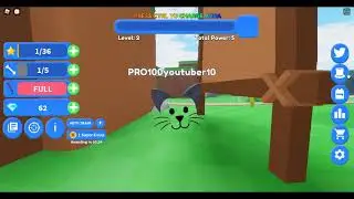 Pet Evolution коды, симулятор роблокс. Все коды в симуляторе эволюция питомцев. Симулятор петов.