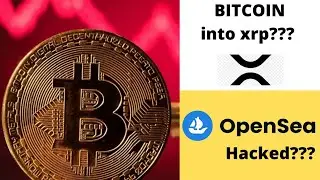 🚨 WHAT HAPPENED! BITCOIN Crash, OPENSEA PHISHING? , BITCOIN ALTCOINS & XRP UPDATE 🚨