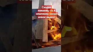 5 марта 2023 г.