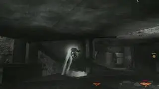 Procyon cheater