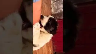 Может это для вас смешно а мне нет