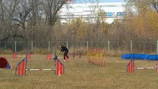 10.10.2021 дж Дарья и шелти Робин