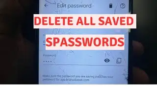 How To Delete All The Saved Passwords From Sites You Visited