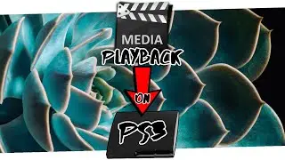 Media Playback on Jailbroken PS3 // PlayStation 3 Modding Made Easy! 