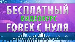 Трейдеры Заработавшие На Форекс | Трейдинг на форексе с нуля