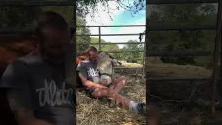 Araitz está enferma