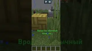 💀💀💀 #minecraft #хочуврек #бамбук