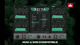 Reiya VSTi – Layered Sampled Instruments - Producersources.com