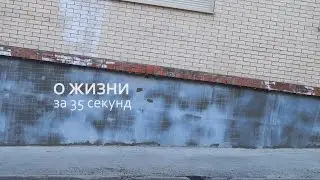 О жизни (за 35 секунд)