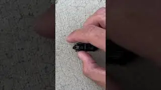 Beetle Biology 