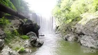 St. Thomas, JAMAICA- Roots, Rivers, & Some Natural Wonders!!