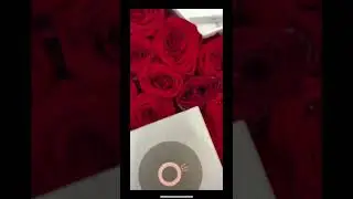 Что подарил Камиль Милане на День Святого Валентина? 