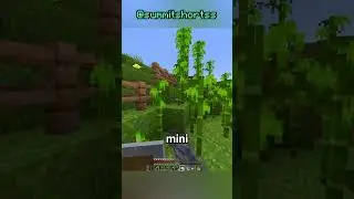 Building My Pet Panda A New House