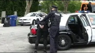 JAKE PAUL REALLY DID GET ARRESTED