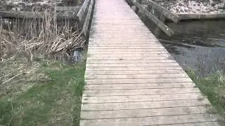 Viborg film