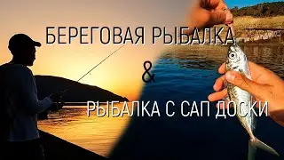 Ловля крупной ставриды с сап доски в Черном море.