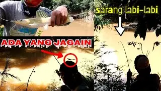 Mancing di Sarang Labi-Labi
