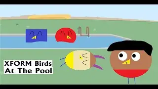 XFORM Birds At The Pool
