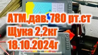 Глубоководный твичинг , ПОСТАНОВКА ПО боково.скан. и КАРТПЛОТТОРУ UHDиUHD2 ,  ЩУКА 2,2кг 18.10.2024г