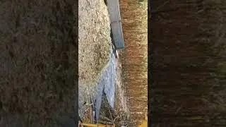 Picadora de pasto...