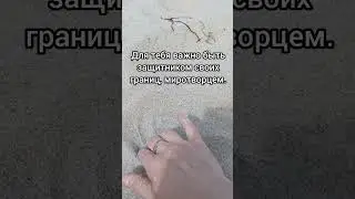 В чём суть имени Алёна? #нумерология #квантоваянумерология #значениеимени #алёна