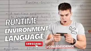 What is Runtime Environment & Programming languages 