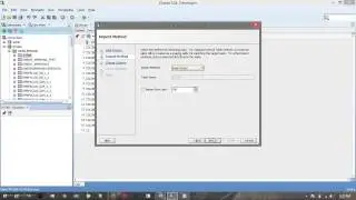 How To Import a dataset in to oracl database and add identity column