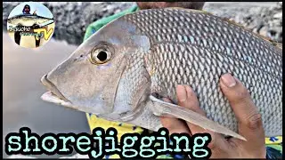 murang light set-up | shore jigging | shore fishing