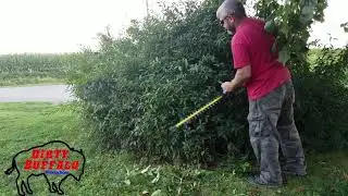 EGO HT2410 Hedge Trimmer VS. Gas Hedge Trimmer (How much quieter is it?)
