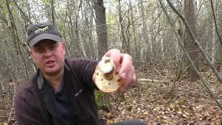 Глаза разбегались, руки тряслись, не знал за что хвататься! Глухие места природы!