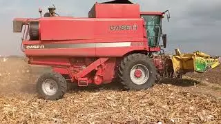 Case ih 2188 vrsidba kukuruza 2025 harvesting corn