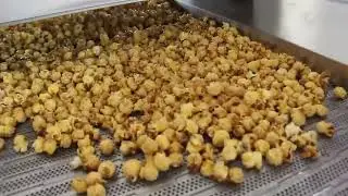 Multi-flavor popcorn production line production process of fruit chocolate popcorn popping corn