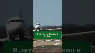 Компрессионные носки: Забудь об отеках ног в полете! 