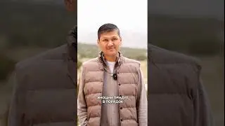 Что делать, если у вас эмоциональное истощение? 