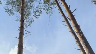 Эндуро карьер