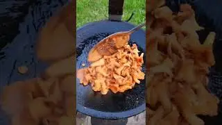 Драники, лисички и бекон