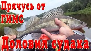 Судак на джиг со второго раза. Прячусь от ГИМС........