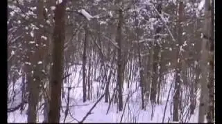 Ни пуха ни пера (Эпизод 11)