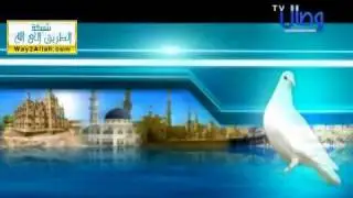 أم المؤمنين لمشاري العرادة