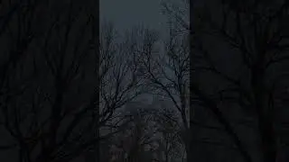 тгк: mitujuromusic #trendmusic #atmosphere #vibes #extraphonk #fyp #mitujuro #music