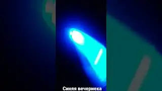 4 марта 2023 г.