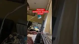 Красивая румынская музыка korg pa1000#korg #музыка #клавиши #моямузыка #music #синтезатор #dalinda
